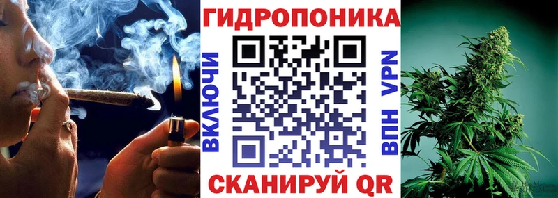 Как найти закладки Новодвинск Марихуана МЕФ Галлюциногенные грибы Метадон NBOMe ГАШИШ