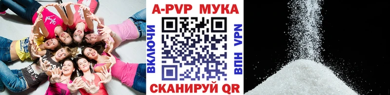 A-PVP СК Новодвинск