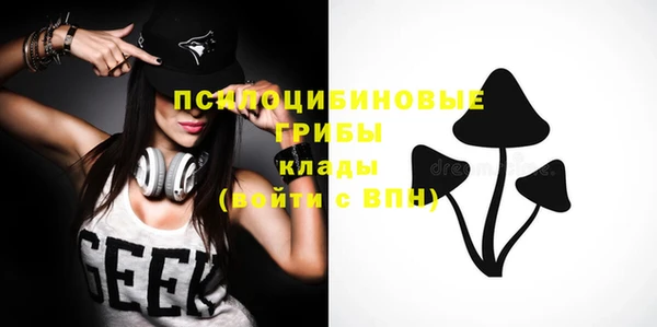 соль курить ск Бородино