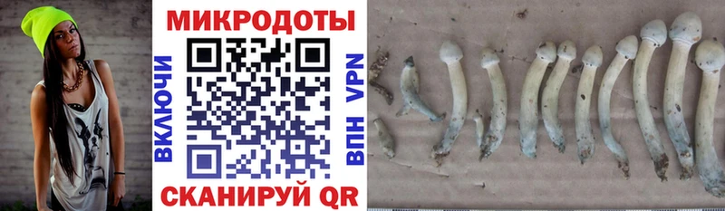 Галлюциногенные грибы ЛСД  сколько стоит  Новодвинск 