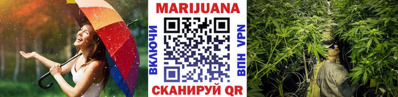 Шишки марихуана Amnesia Новодвинск